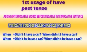1st usage of Have past tense | Adding interrogative negative